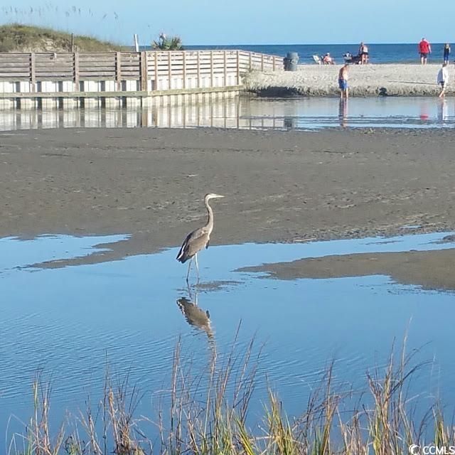 101 Ocean Creek Dr. Photo 31