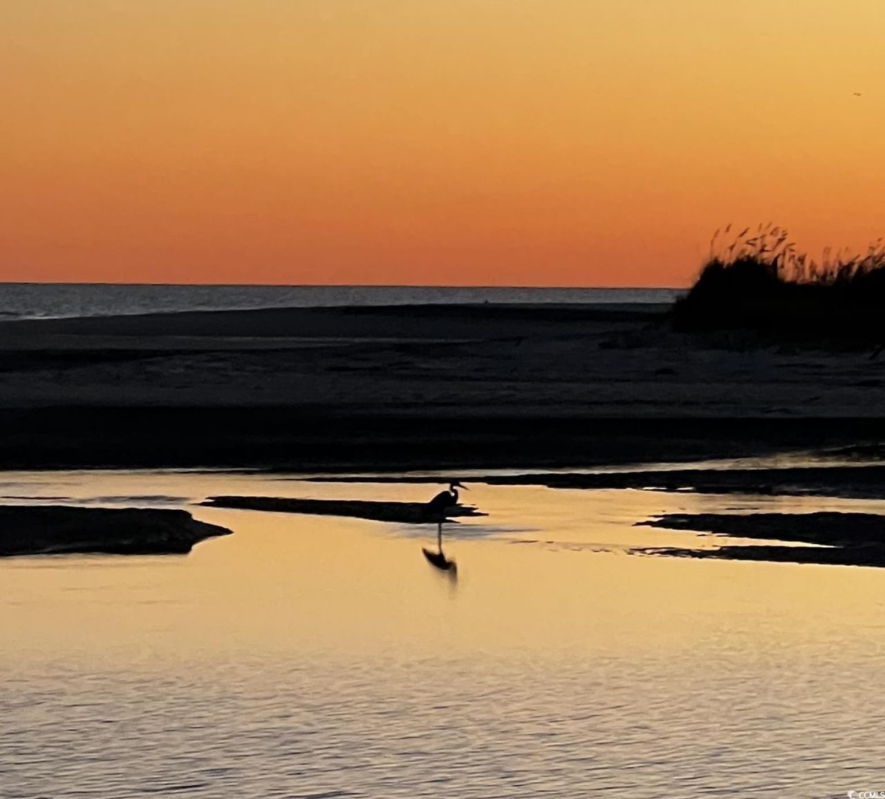 101 Ocean Creek Dr. Photo 33