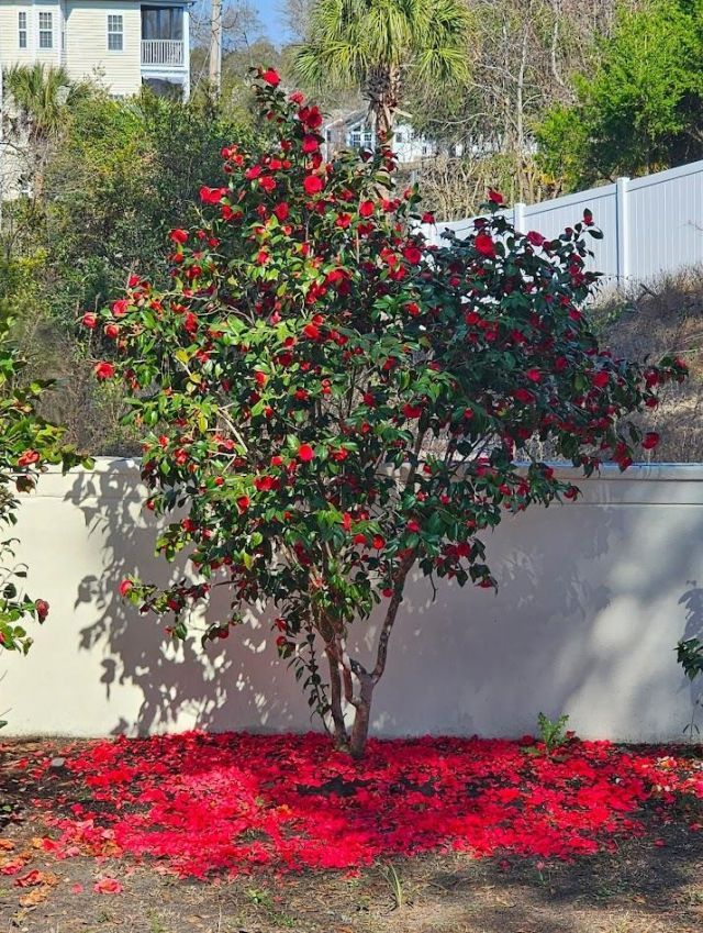 941 Skimmer Bay Bend Photo 37