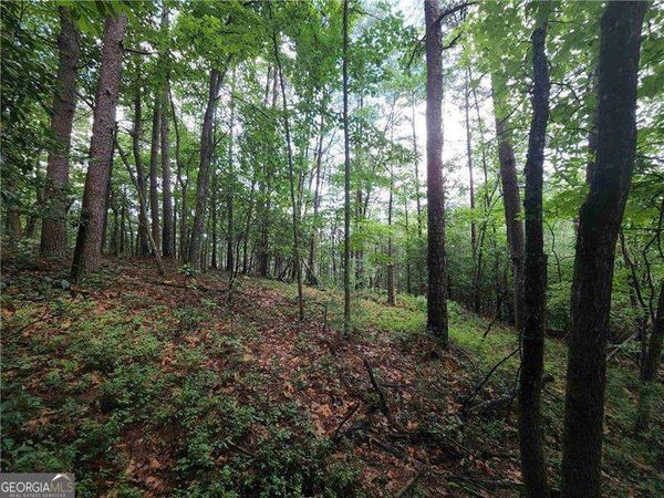 0 Rosen Strasse, Helen, GA 30545