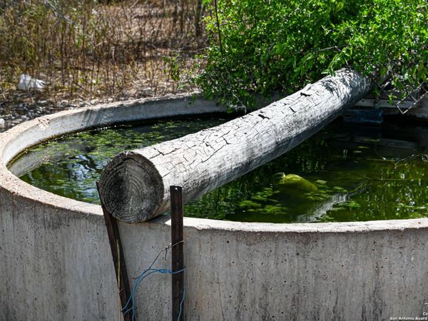 10+/- ACRES CR 152, Kenedy, TX 78119