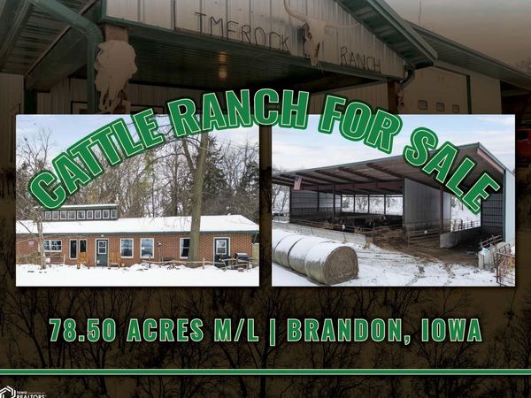 3251 Brandon Diagonal Boulevard, Brandon, IA 52210