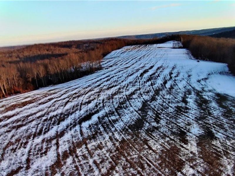 Township Rd. 164, Salineville, OH 43945 Photo 11