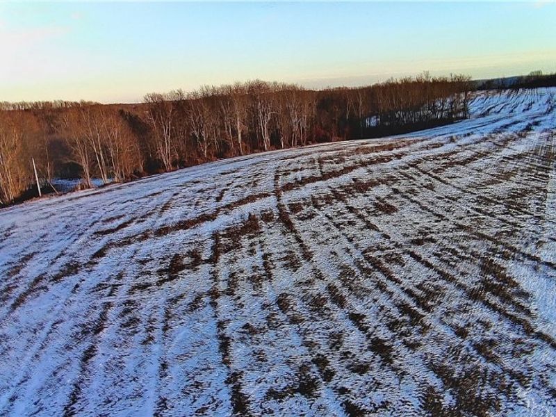 Township Rd. 164, Salineville, OH 43945 Photo 14