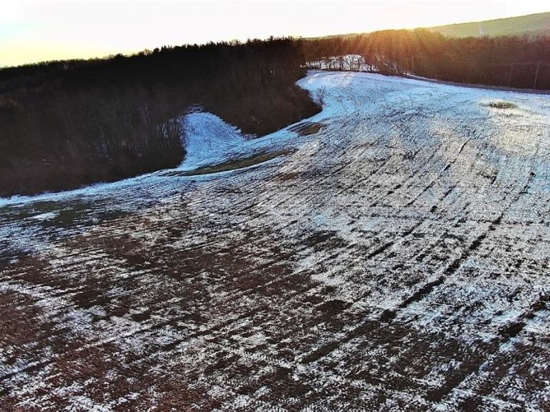 Township Rd. 164, Salineville, OH 43945 Photo 16