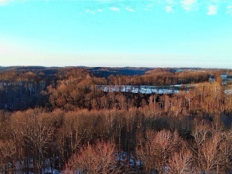 Township Rd. 164, Salineville, OH 43945 Photo 2