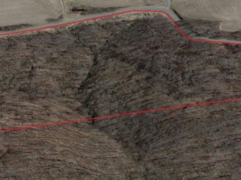 Township Rd. 164, Salineville, OH 43945 Photo 23