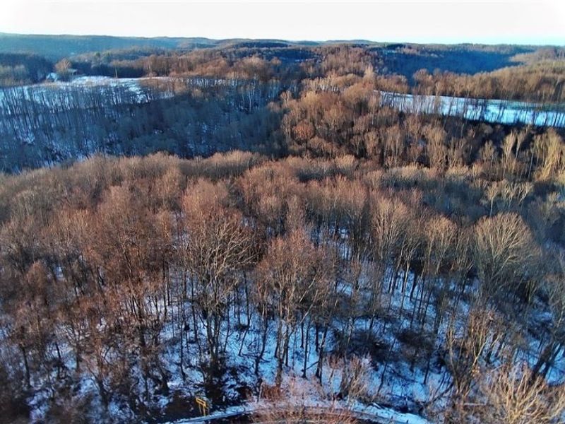 Township Rd. 164, Salineville, OH 43945 Photo 4