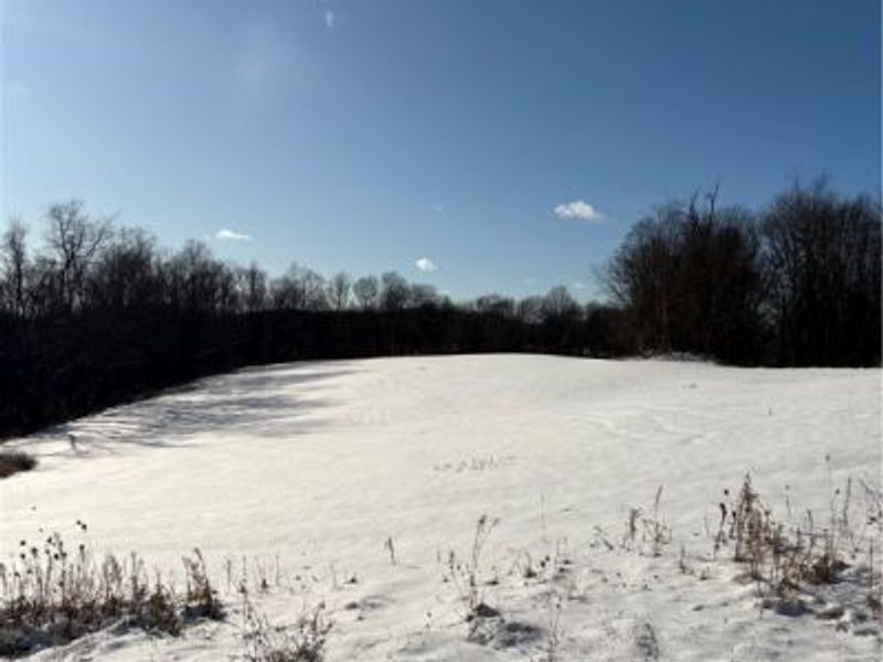 Township Rd. 164, Salineville, OH 43945 Photo 6