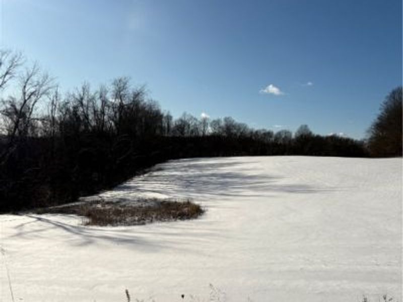 Township Rd. 164, Salineville, OH 43945 Photo 7