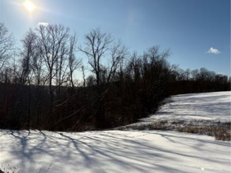 Township Rd. 164, Salineville, OH 43945 Photo 8