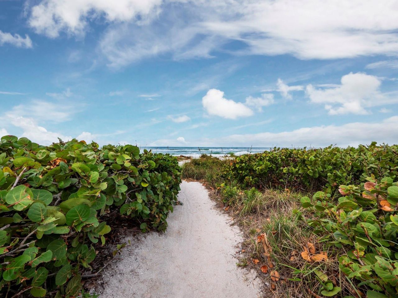 836 Evergreen Way, Longboat Key, FL 34228 Photo