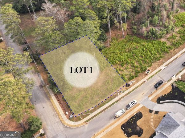 462 Emily Reed Lane, Atlanta, GA 30342