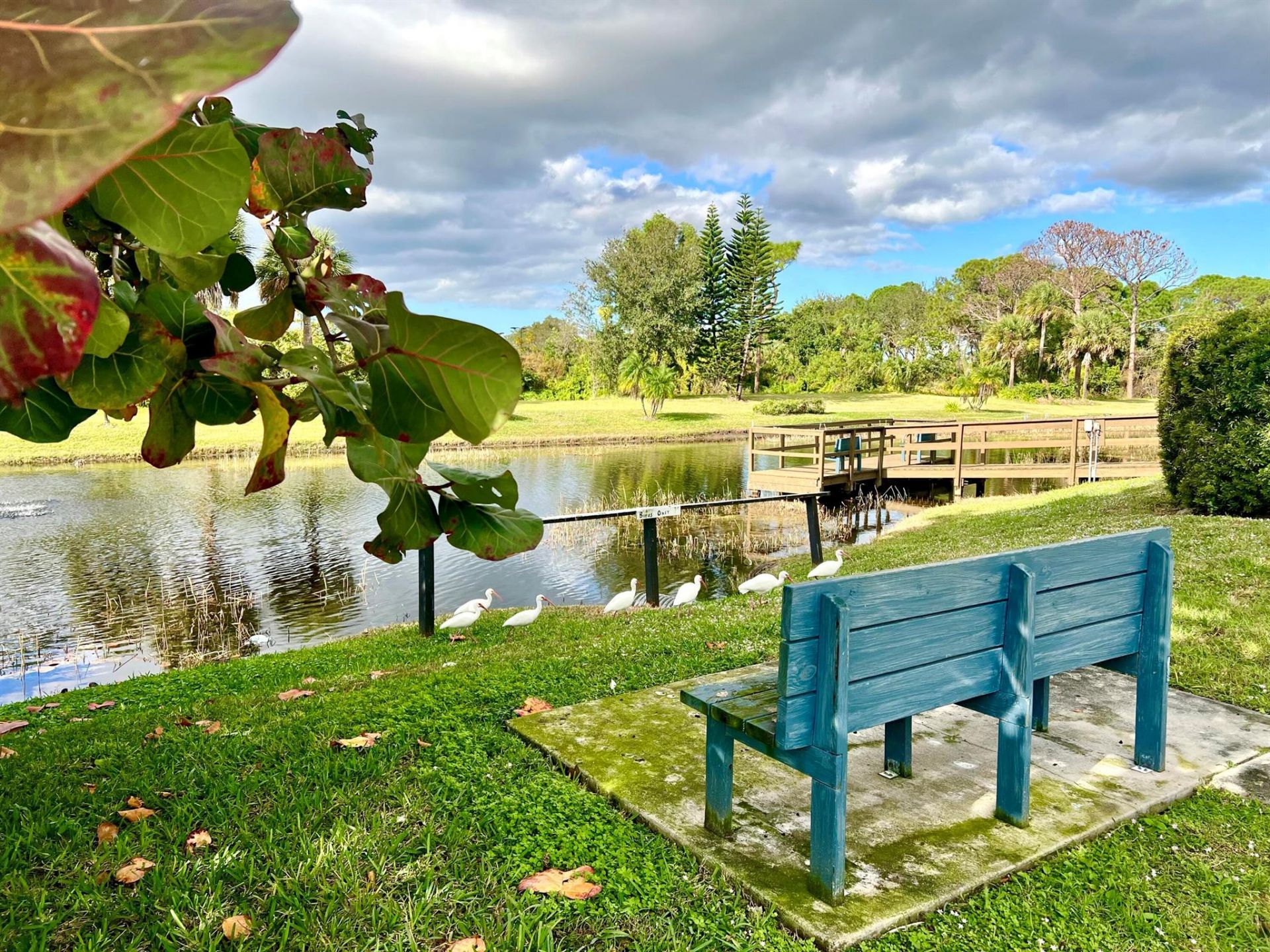 8011 SE Homestead Avenue, Hobe Sound, FL 33455 Photo