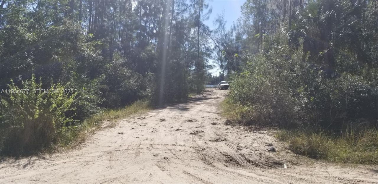 201 Ocean Park Dr , Lehigh Acres, FL 33972 Photo