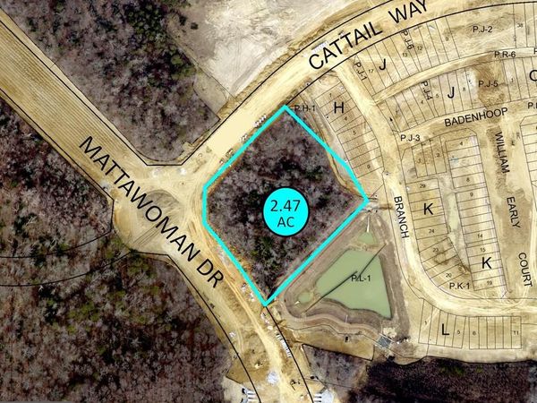 13900 MATTAWOMAN DRIVE, BRANDYWINE, MD 20613