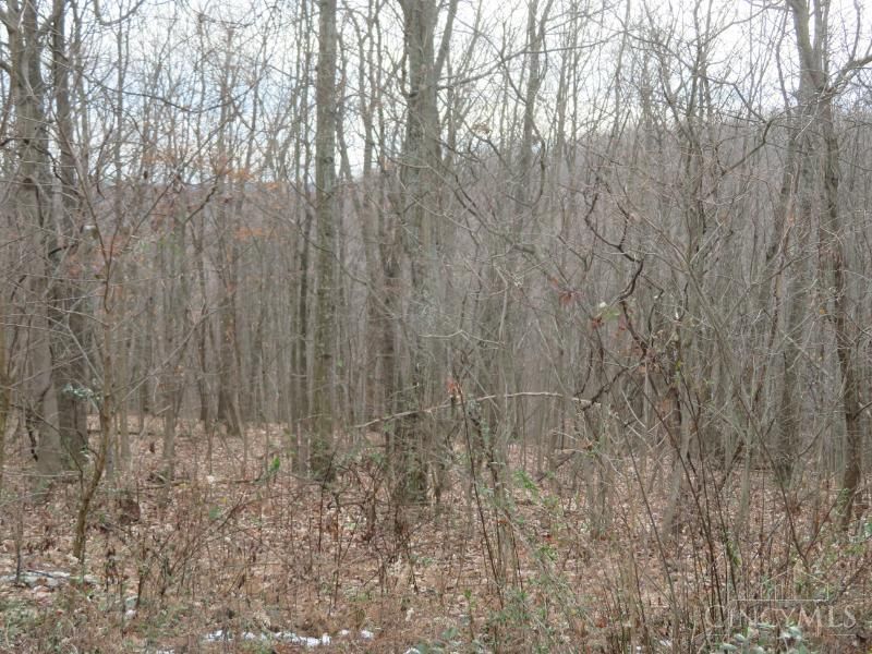 7730 Beavers Ridge Road, Piketon, OH 45661 Photo 12