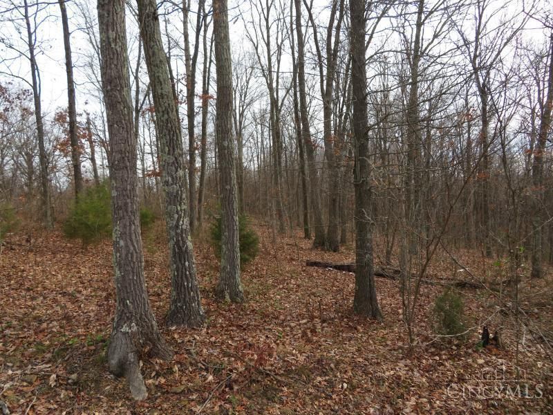 7730 Beavers Ridge Road, Piketon, OH 45661 Photo 14