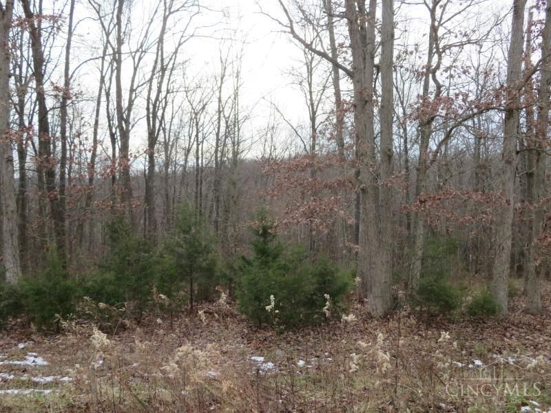 7730 Beavers Ridge Road, Piketon, OH 45661 Photo 15