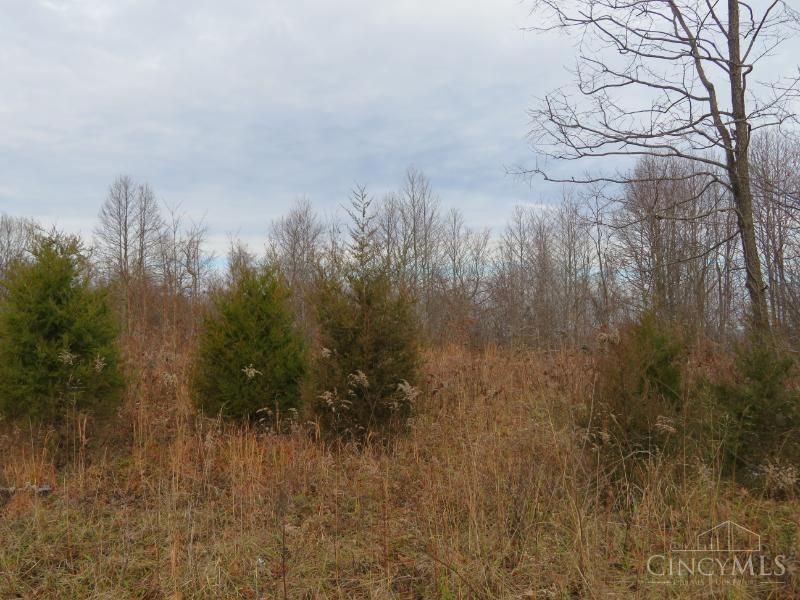 7730 Beavers Ridge Road, Piketon, OH 45661 Photo 2