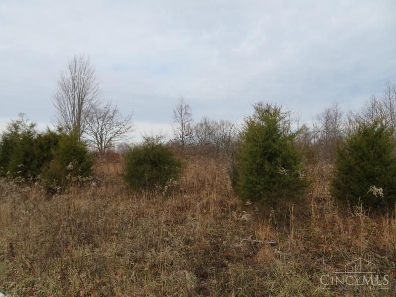 7730 Beavers Ridge Road, Piketon, OH 45661 Photo 3