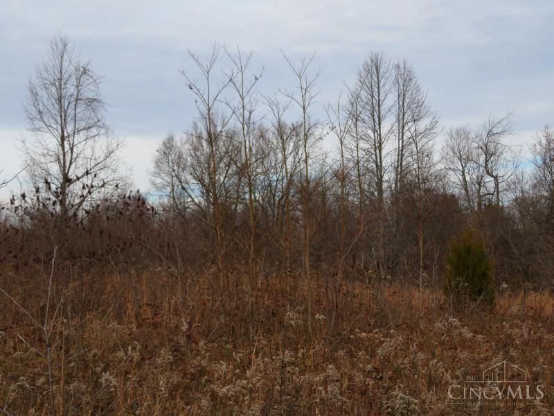 7730 Beavers Ridge Road, Piketon, OH 45661 Photo 6