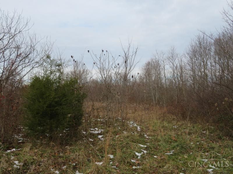 7730 Beavers Ridge Road, Piketon, OH 45661 Photo 7