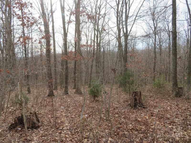 7730 Beavers Ridge Road, Piketon, OH 45661 Photo 8