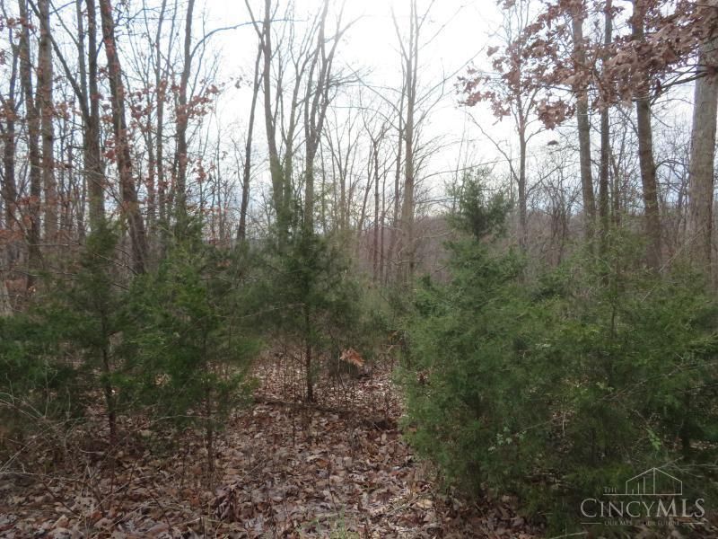 A Beavers Ridge Road, Piketon, OH 45661 Photo 4