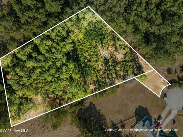 Tr1 & Tr2 Michelle Ward Lane, Maple Hill, NC 28454