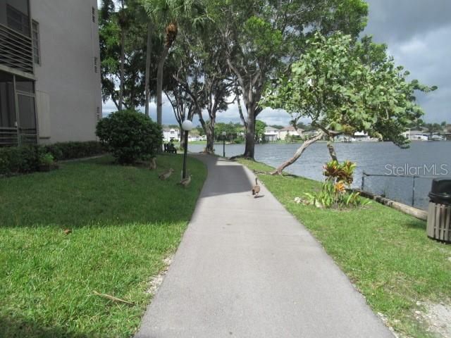 1100 Colony Point Circle, Unit 518, Pembroke Pines, FL 33026 Photo
