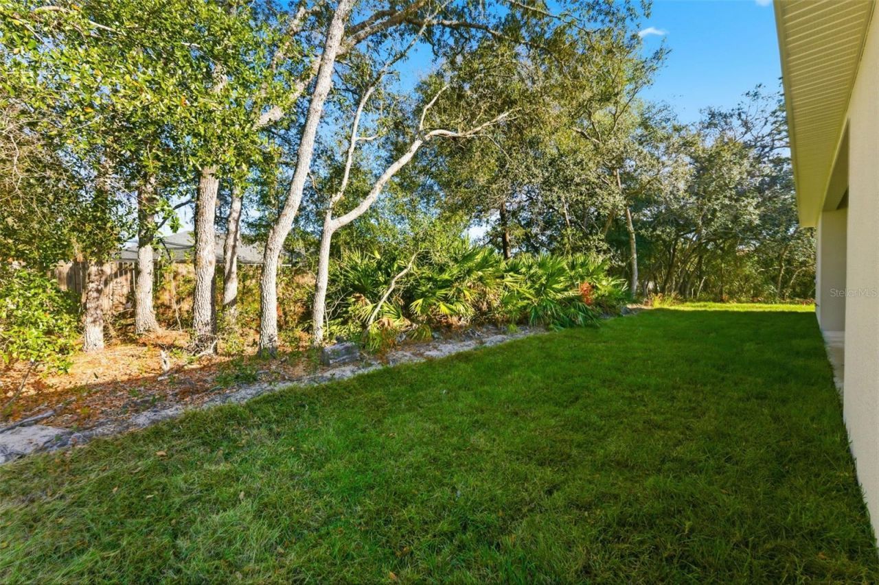 8265 N Amboy Drive, Citrus Springs, FL 34433 Photo