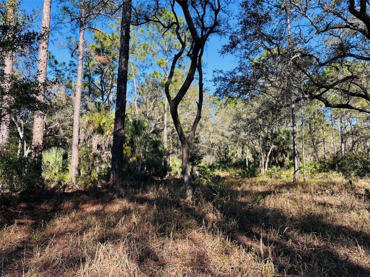 0 SW 60th Street, Cedar Key, FL 32625 Photo