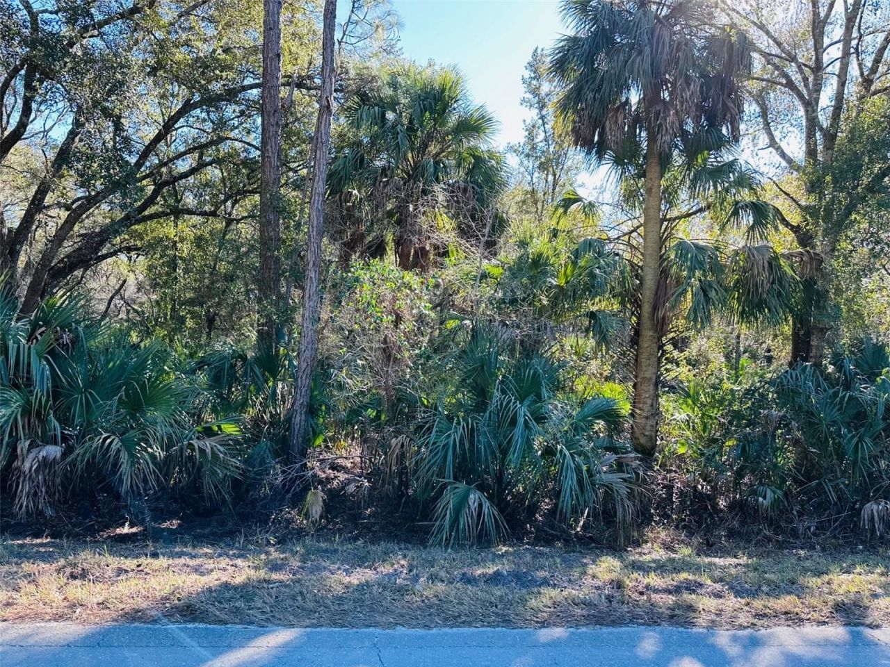 0 SW 60th Street, Cedar Key, FL 32625 Photo