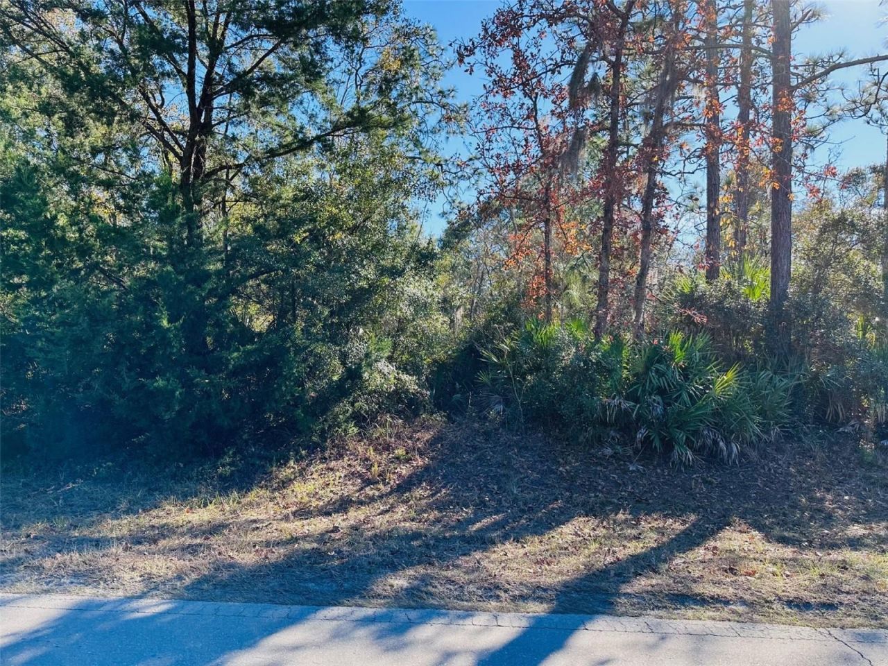 0 SW 60th Street, Cedar Key, FL 32625 Photo