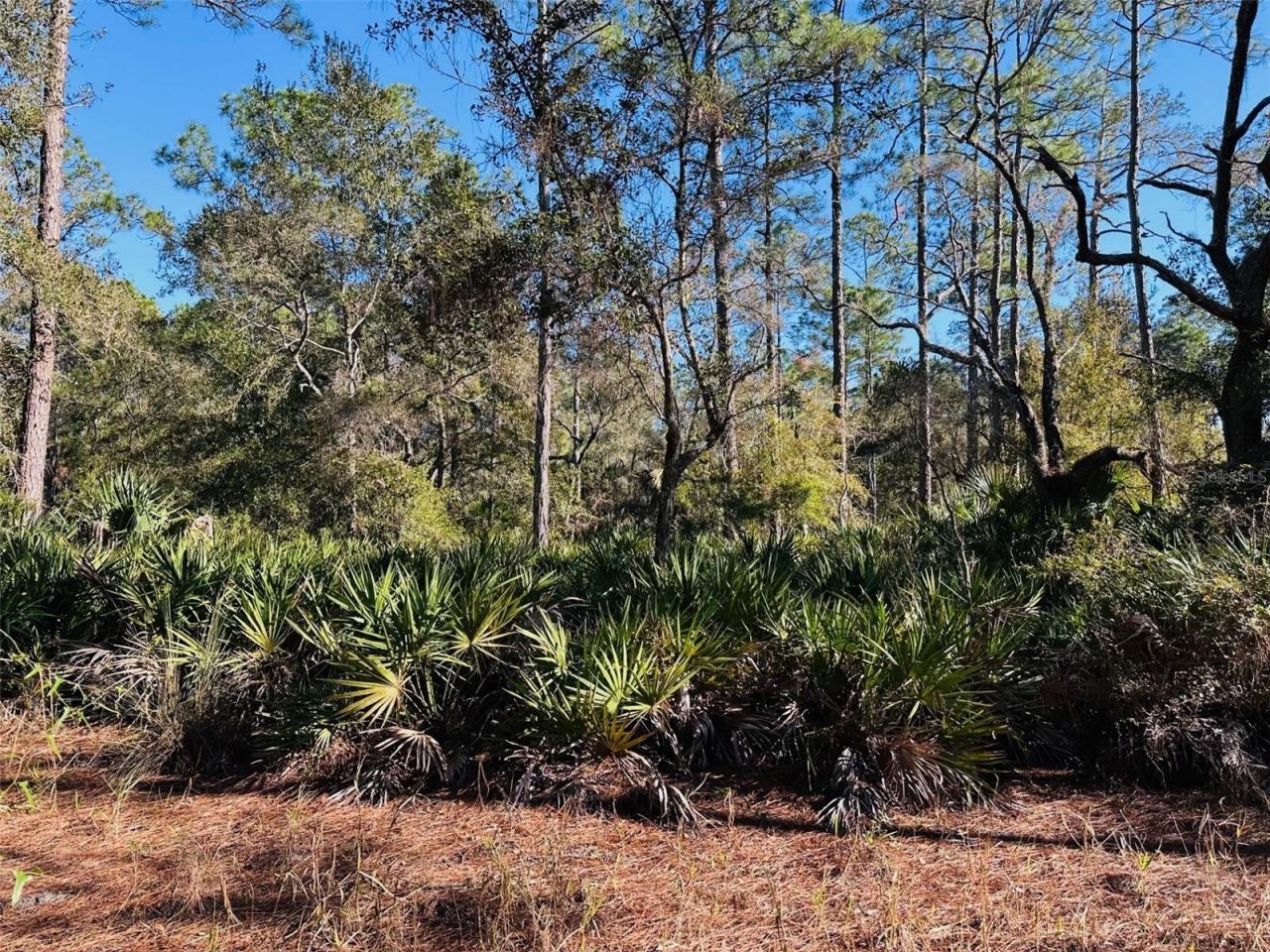 0 SW 60th Street, Cedar Key, FL 32625 Photo