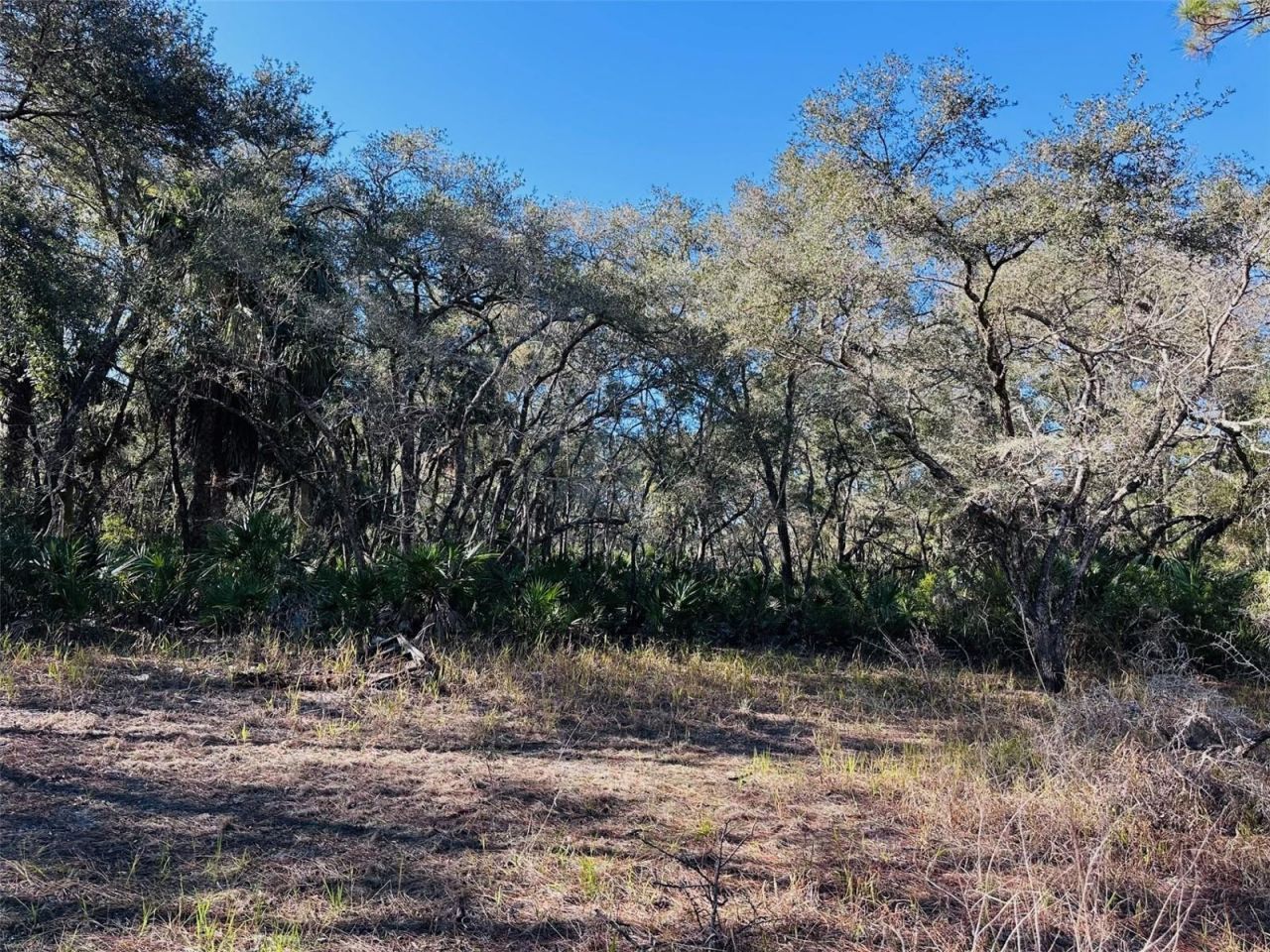 0 SW 60th Street, Cedar Key, FL 32625 Photo