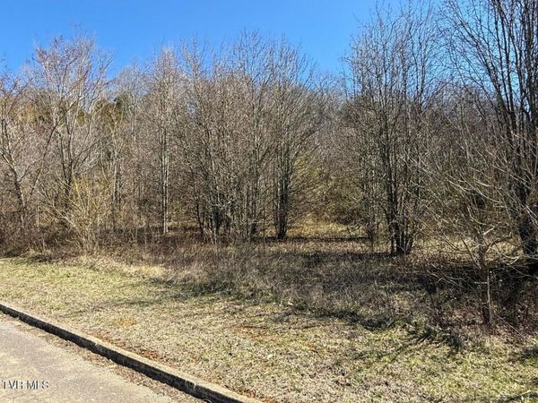 Lot 62 Secluded River Circle, Parrottsville, TN 37843