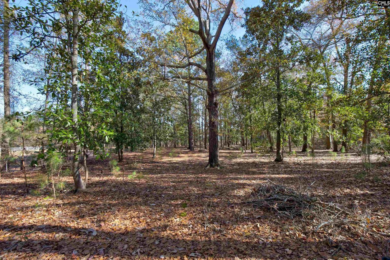 1616 Lakeview Avenue Photo 40