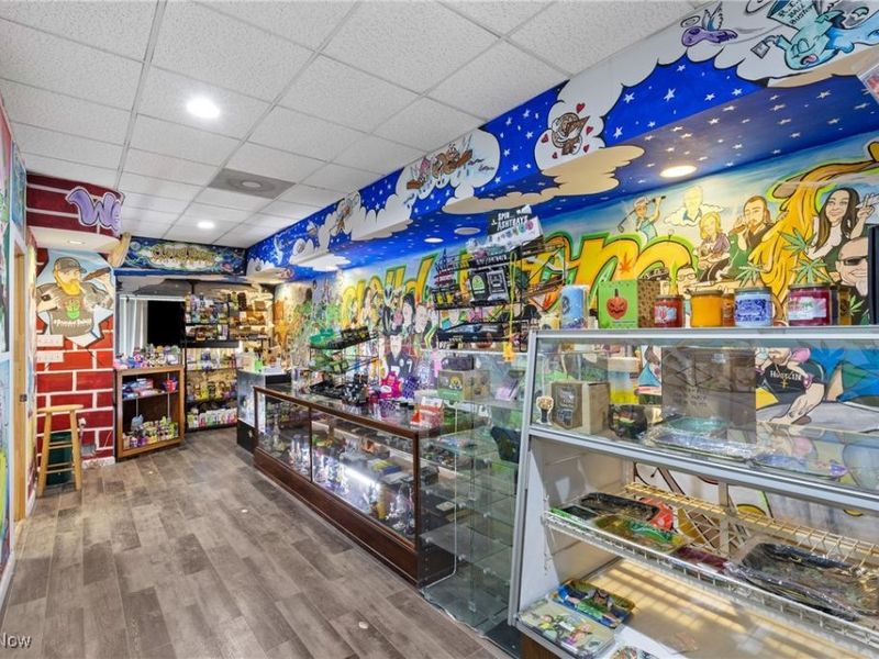 3052, 3048, 3050 Belmont Street, Bellaire, OH 43906 Photo 19