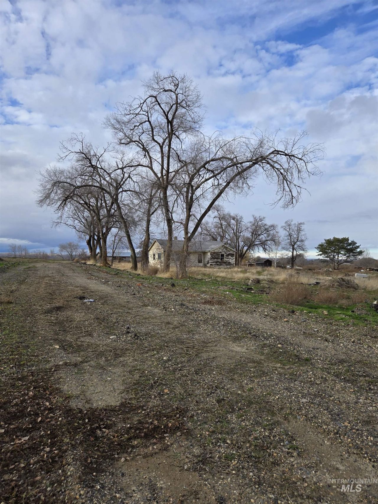 3755 Hwy 95, Parma, ID 83660 Main Photo