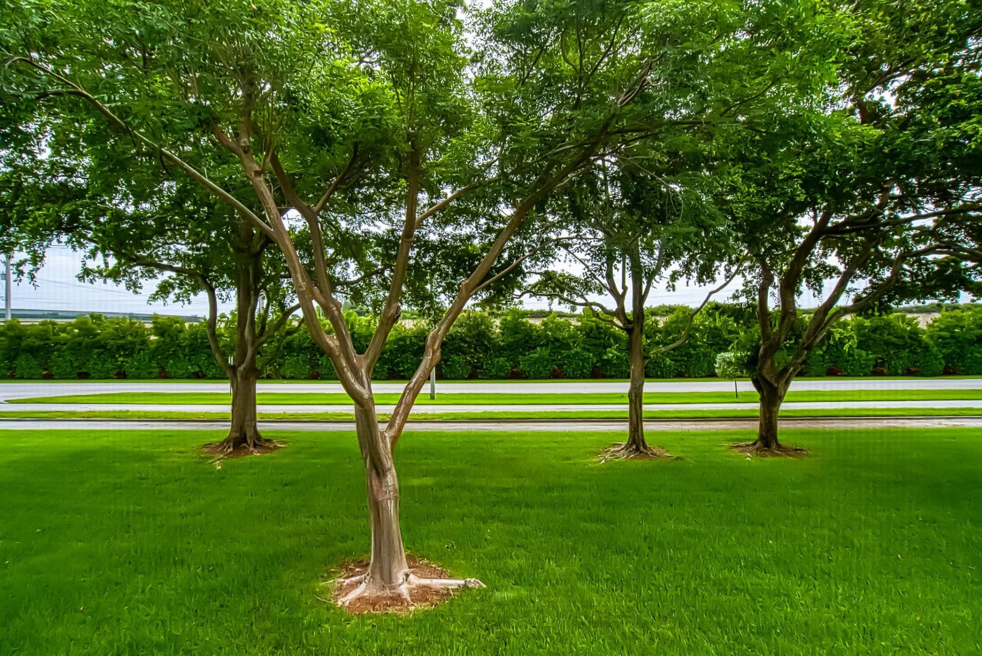 438 Mansfield K, Unit 438, Boca Raton, FL 33434 Photo