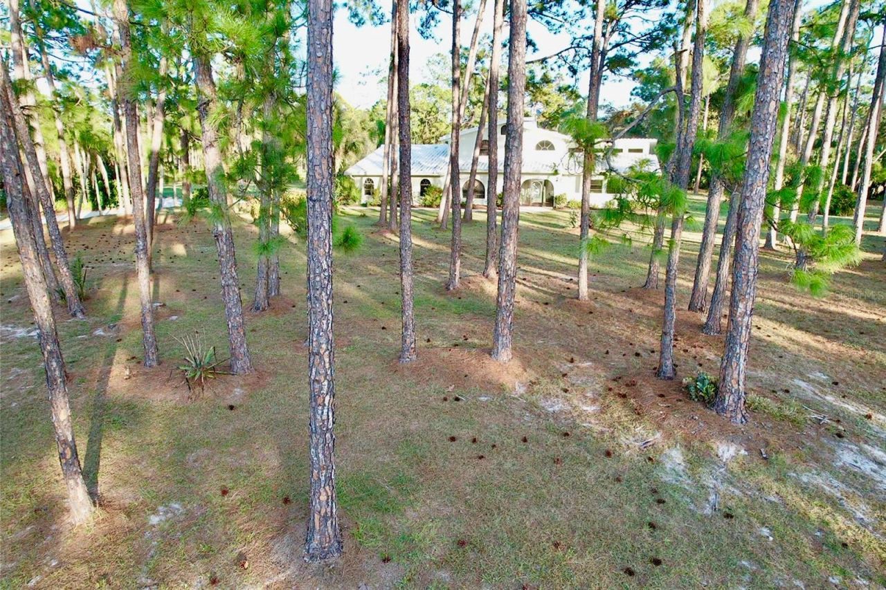 6068 Tidwell Street, North Port, FL 34291 Photo