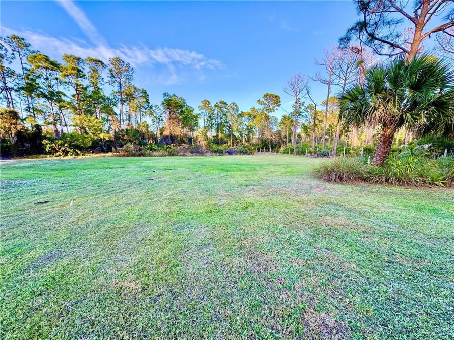 Property Image 81