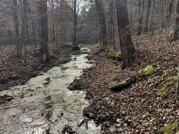 3000 Die Shiboley Church Road, Magnolia, KY 42757