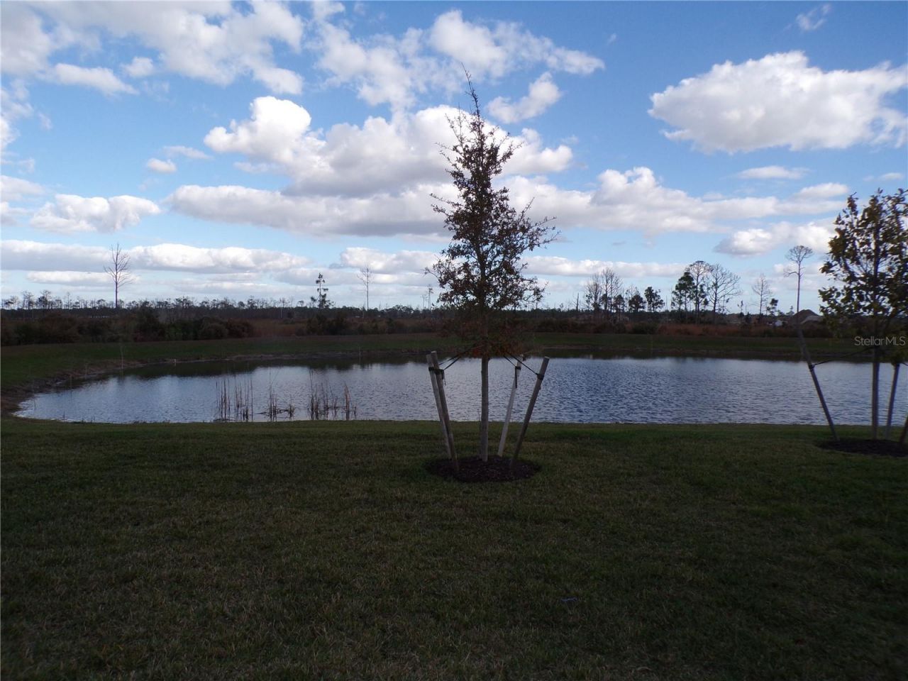 11369 Willowleaf Boulevard, Punta Gorda, FL 33955 Photo