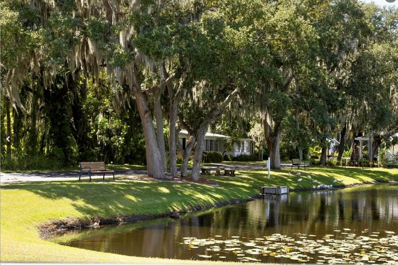 3301 Evelyn Drive, Ellenton, FL 34222 Photo