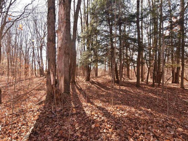 M-115 W, Mesick, MI 49668