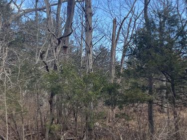TBD WALKER CREEK RD, MIDDLEBROOK, VA 24459