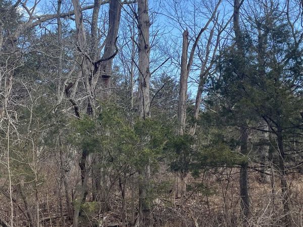 TBD WALKER CREEK RD, MIDDLEBROOK, VA 24459